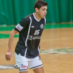 dodo1