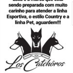 e1578aed-7e73-4299-8a8d-3663b4a31527