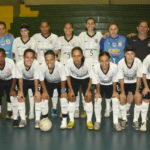 feminino